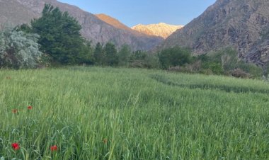 پنجشیر در بهار