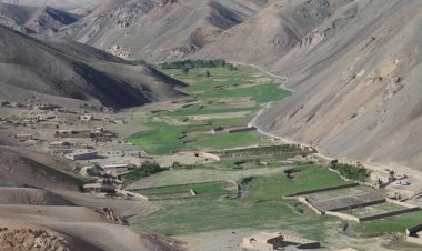 Taliban forcibly displace 10 families in Ghor province