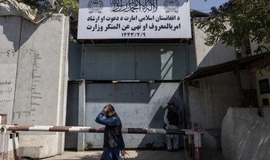 امربالمروف وزارت په مختلفو ولایتونو کې یوولس کوډګر نیولي