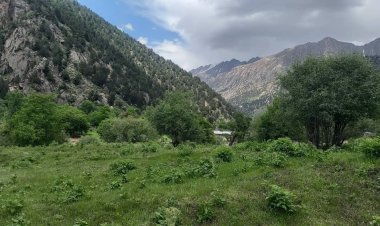 کونړ کې د پاکستاني طالبانو د یو مهم قومندان په ګډون څلور کسان ته مرګ ژوبله اوښتې