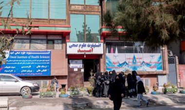 گروه طالبان در اقدام تازه تحصیل دختران در انستیتوتهای طبی را ممنوع اعلام کرد.