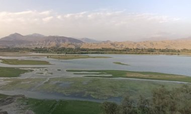 ننګرهار کې یوه لیور خپله وریندار وژلې