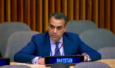 نماینده پاکستان: طالبان از شش هزار جنگجوی تیتیپی حمایت میکند