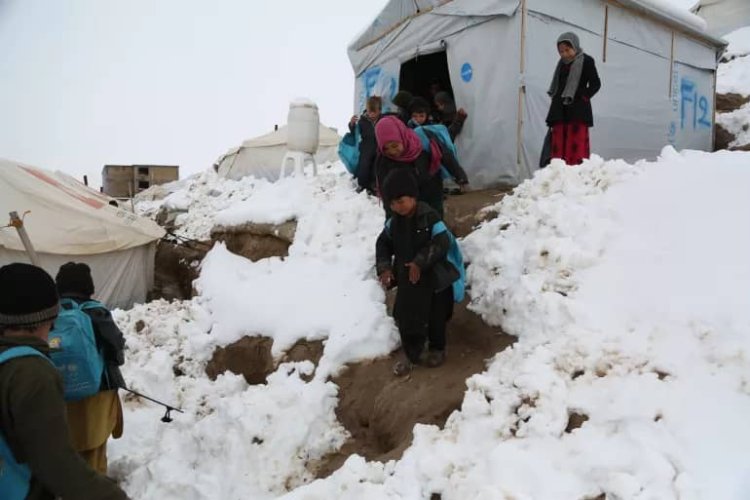 برنامه جهانی غذا در افغانستان: خانواده‌ها در زمستان با کمبود شدید غذا مواجهند