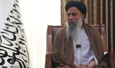 د امریکا او طالبانو ترمنځ د بندیانو تبادله کې یو طالب ازاد شو