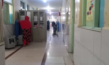Midwife shortage in Nangarhar puts mothers and babies at risk