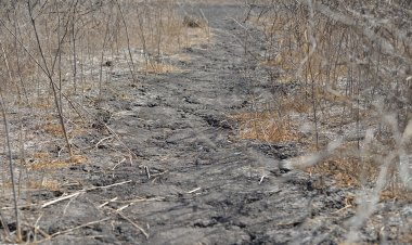 Jafarbig Panj-Bozi:  a village drowning in a water crisis