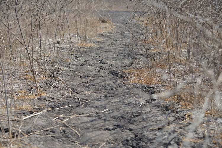 Jafarbig Panj-Bozi:  a village drowning in a water crisis