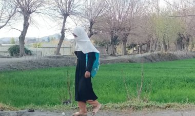 یونسکو: په افغانستان کې ۱.۵ میلیونه نجونې له زده کړو محرومې دي