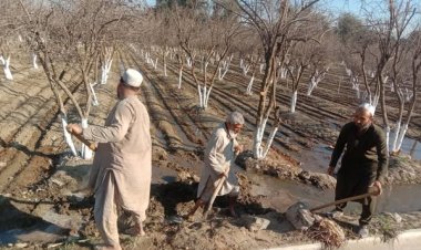 The celebration of farmers’ day in Afghanistan