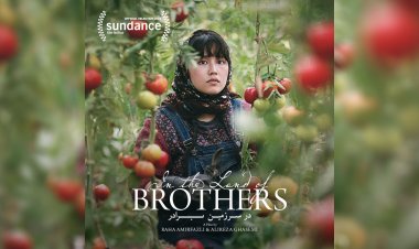 اکران «در سرزمین برادر» در فرانسه؛ روایتی از مهاجران افغان در ایران