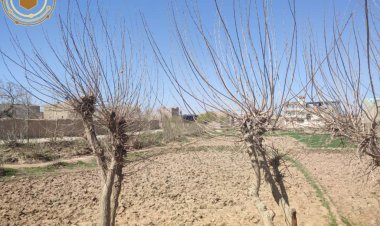بحران اقلیمی در افغانستان؛ بیشترین آسیب و کمترین بودجه