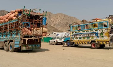 له پاکستان راستانه شوي کډوال د سرپناه غوښتنه کوي
