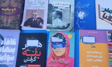 Book Bans: A Decline in Access to Academic Resources for Monograph and Thesis Writing