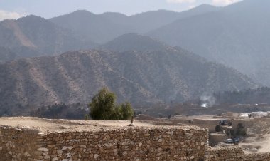 Poverty and Climate Change: Deforestation on the Rise in Many Parts of the Country