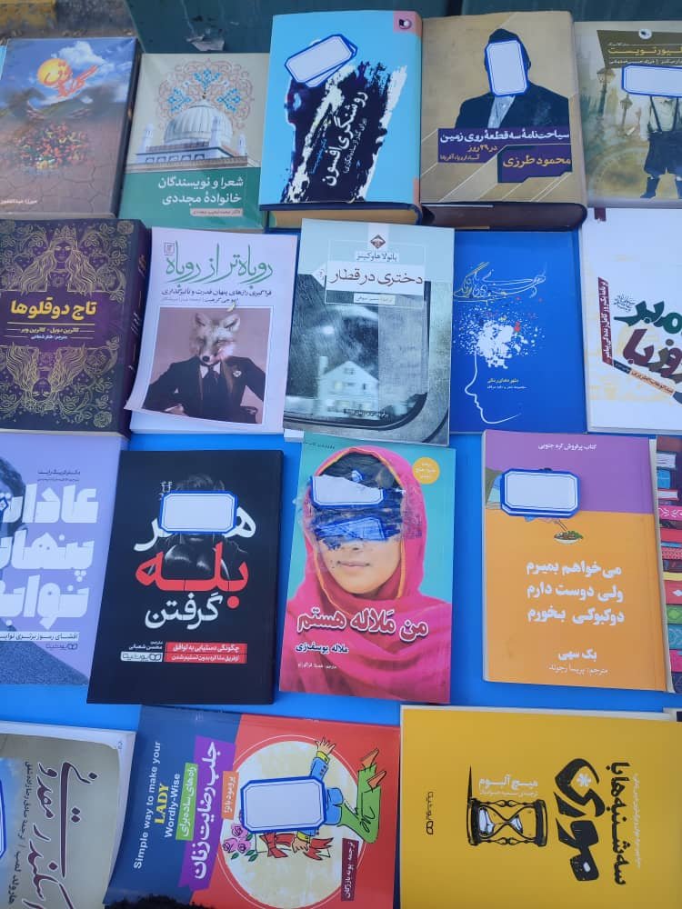 Book Bans: A Decline in Access to Academic Resources for Monograph and Thesis Writing