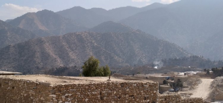 Poverty and Climate Change: Deforestation on the Rise in Many Parts of the Country
