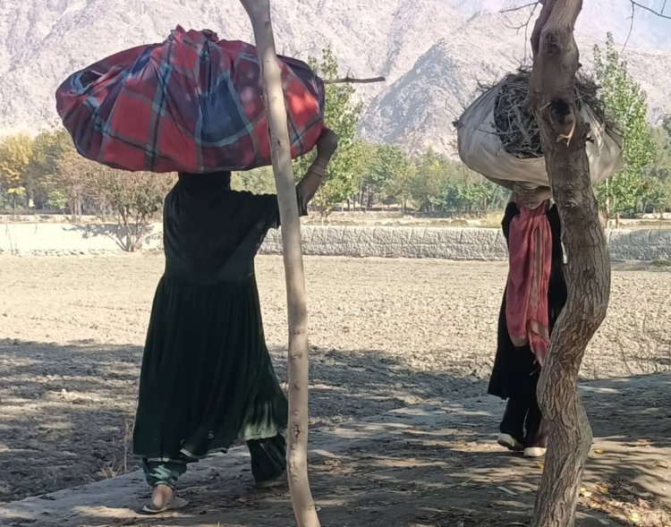 From Clay to Bread: The Life Story of Rural Female Farmers