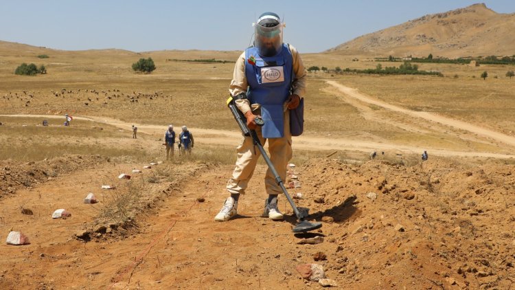 Twelve Years at Risk: The Story of a Deminer Who Saves Lives
