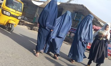 از سقوط تا امروز؛ «چهار سال و یک قلم»