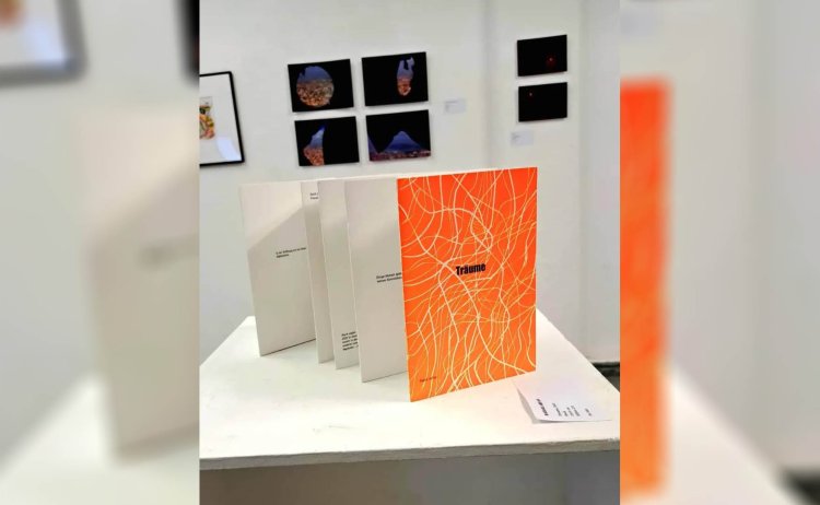 نمایشگاه «پژواک هنر» با حضور هنرمندان افغان در فرانکفورت آغاز شد