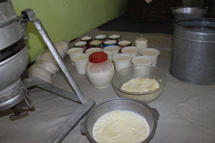 The Widow Who Makes a Living Through Dairy Production