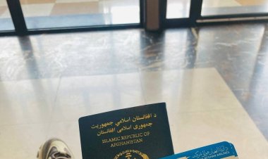 Exile Makes You Lonelier: A Story of Migration