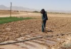 Thirsting Lands, Fading Lives: Inside Afghanistan’s Drought