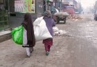 From School to Handcarts: The Story of Child Laborers in Kabul