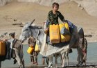Water Crisis Burdens Women and Children in Eastern Afghanistan