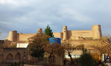 اجبار برقع در اداره‌های دولتی هرات؛ دستور جدید طالبان برای زنان