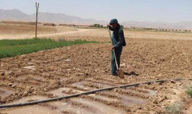 Thirsting Lands, Fading Lives: Inside Afghanistan’s Drought