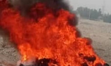 له موسیقۍ سره د طالبانو د دښمنۍ دوام: طالبانو په ننګرهار و میدان وردګو کې د موسیقۍ ۸۱۷ آلې سوځولي