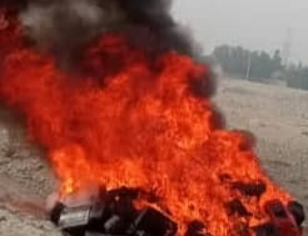 له موسیقۍ سره د طالبانو د دښمنۍ دوام: طالبانو په ننګرهار و میدان وردګو کې د موسیقۍ ۸۱۷ آلې سوځولي