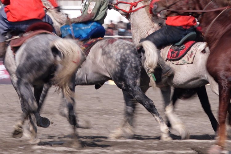 بزکشی؛ ورزشی با پیشینه‌ای کهن در افغانستان