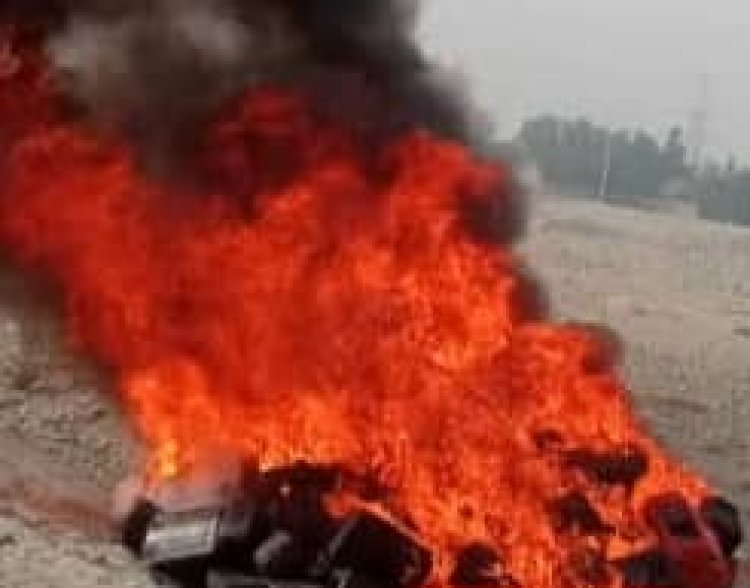 له موسیقۍ سره د طالبانو د دښمنۍ دوام: طالبانو په ننګرهار و میدان وردګو کې د موسیقۍ ۸۱۷ آلې سوځولي