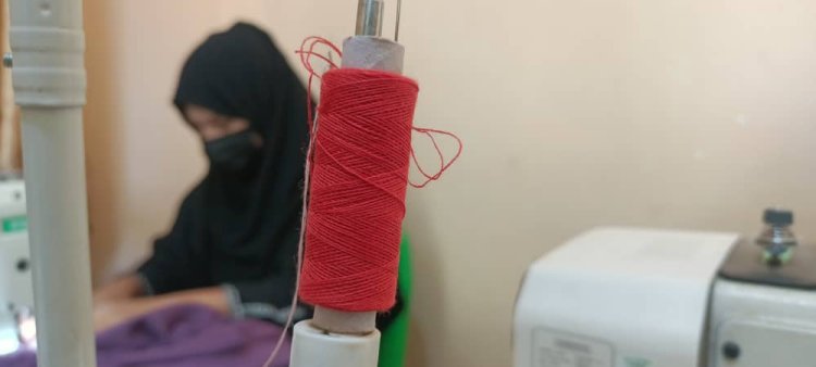 Forced to Leave, Forced to Return: An Afghan Woman’s Story