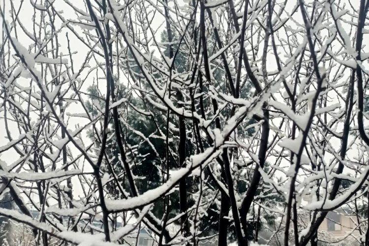 یک روز برفی در افغانستان