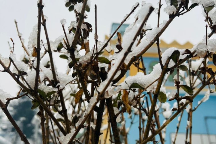 یک روز برفی در افغانستان