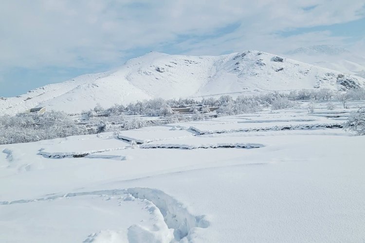 یک روز برفی در افغانستان