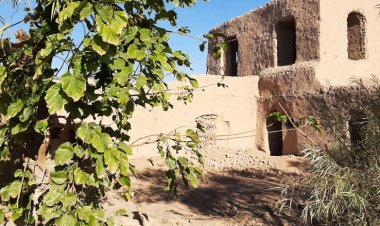 From Washing Carpets to Tanks: A Childhood Memory in the Shadow of War in Afghanistan