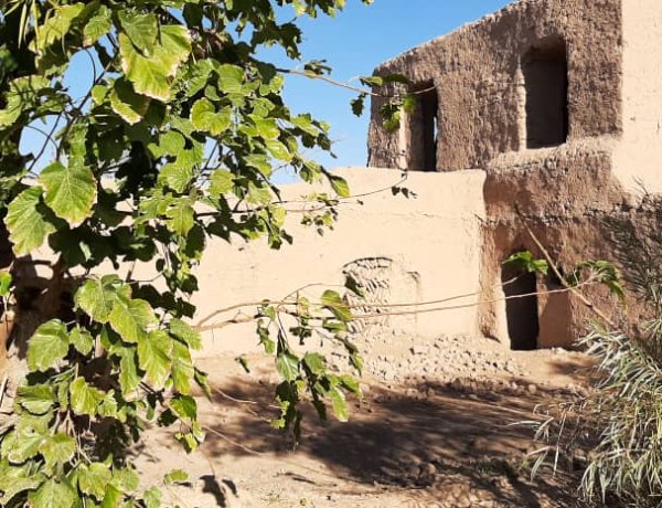 From Washing Carpets to Tanks: A Childhood Memory in the Shadow of War in Afghanistan