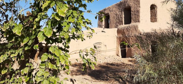 From Washing Carpets to Tanks: A Childhood Memory in the Shadow of War in Afghanistan