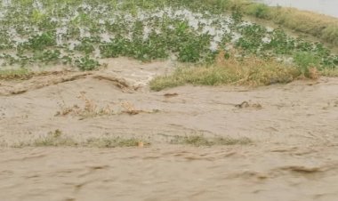 Unseasonal Rains and Floods Raise Concerns Over Agriculture in Afghanistan
