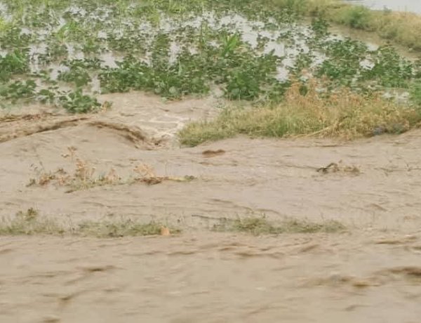 Unseasonal Rains and Floods Raise Concerns Over Agriculture in Afghanistan