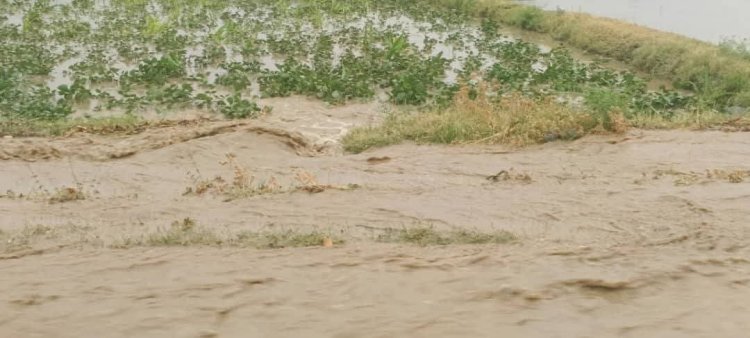 Unseasonal Rains and Floods Raise Concerns Over Agriculture in Afghanistan